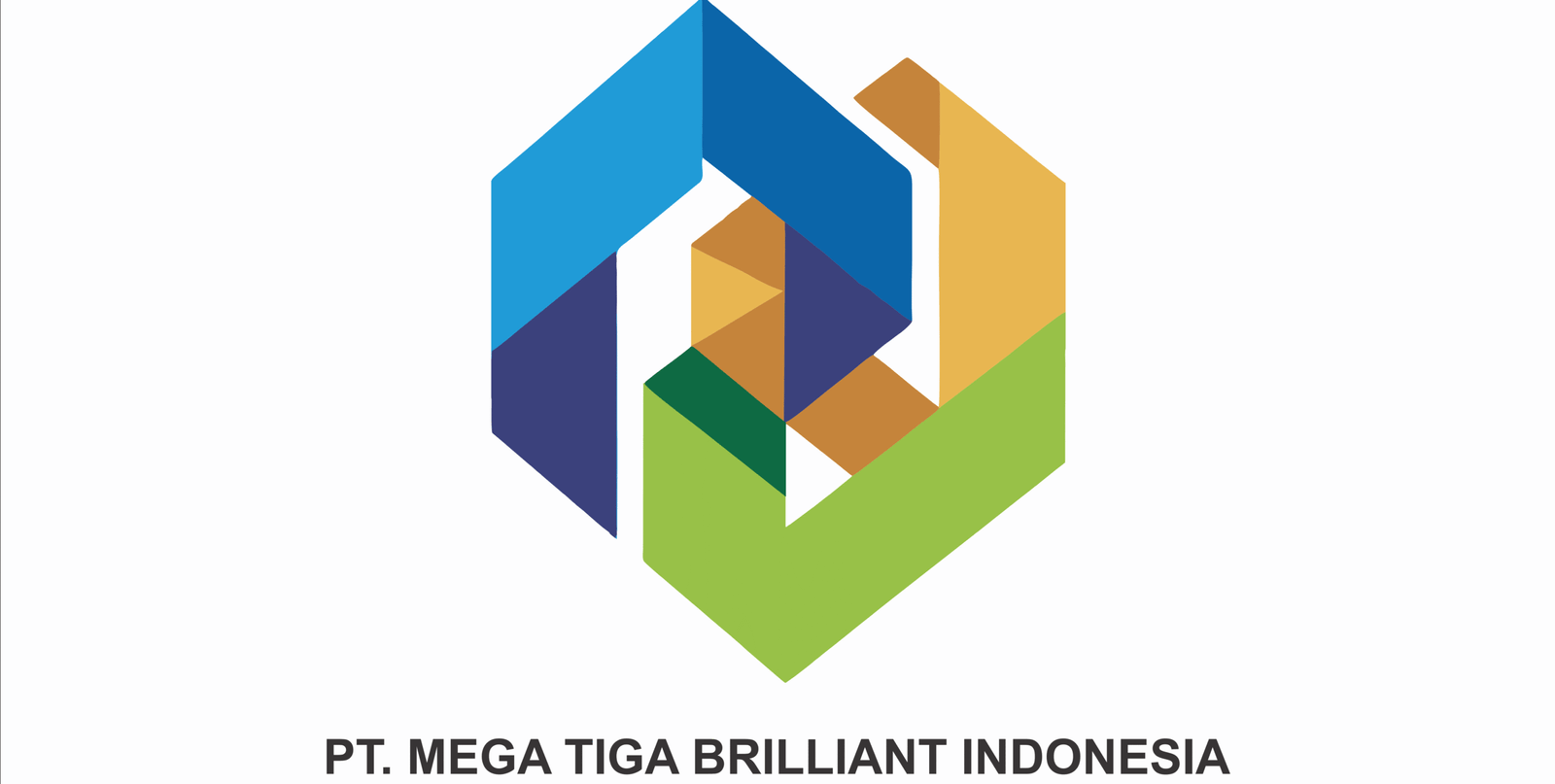 pt.mtbi